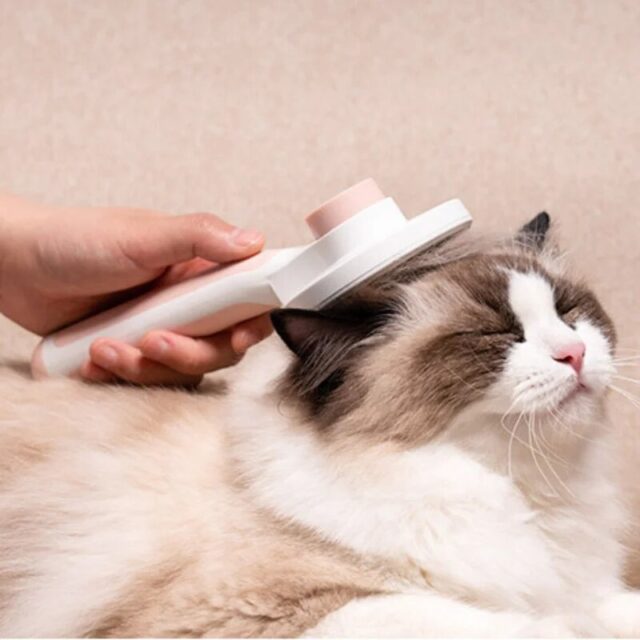 Brosse douce et moelleuse pour votre chat