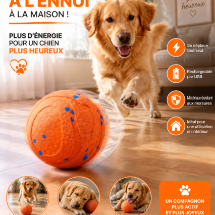 Balle Interactive Rechargeable pour Chien des Heures de Jeu et de Complicités