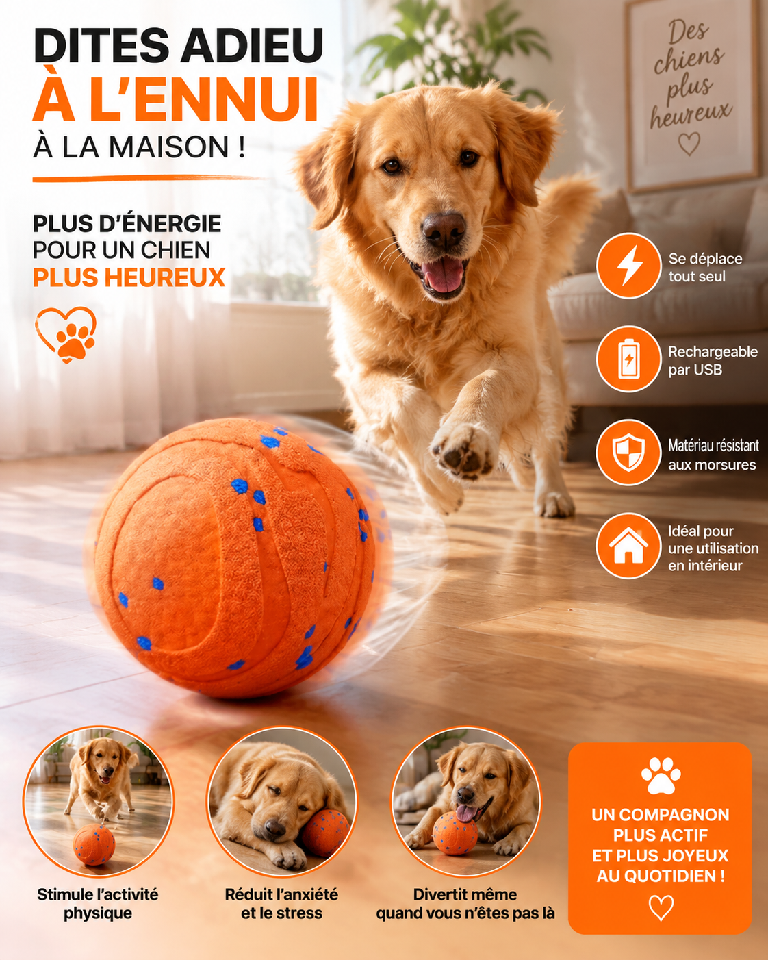 Balle Interactive Rechargeable pour Chien des Heures de Jeu et de Complicités