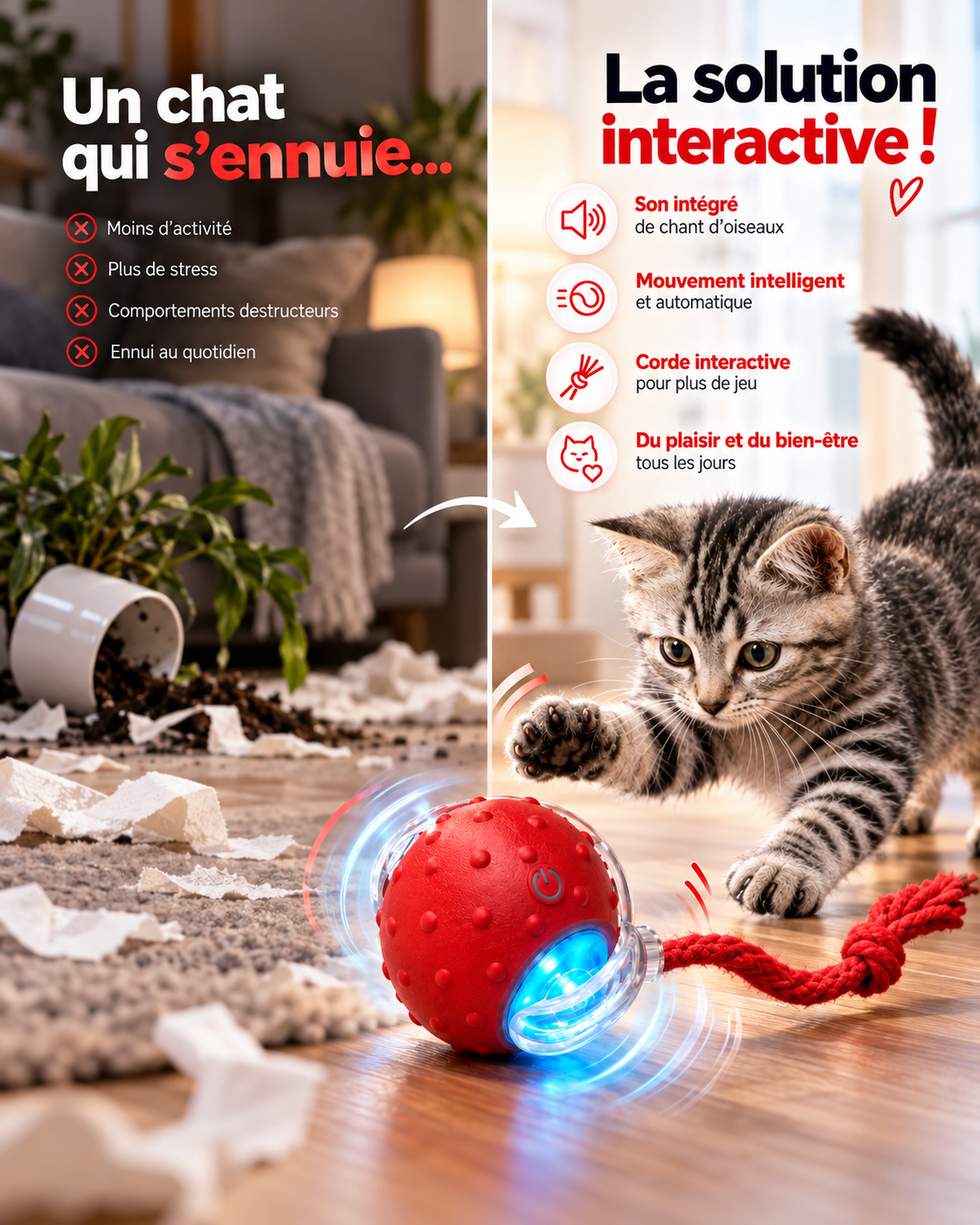 PurrMotion – La balle interactive qui fait bouger votre chat